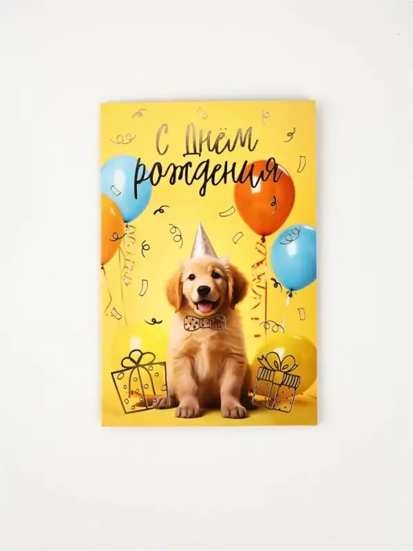 Открытка «С Днём рождения», тиснение, 12 × 18 см Открытка «С Днём рождения», тиснение, 12 × 18 см