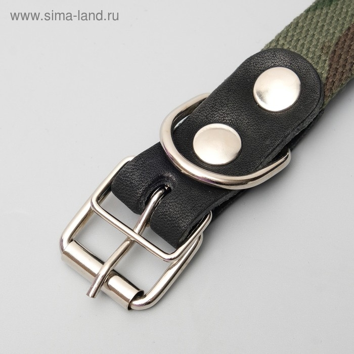 Ошейник брезентовый однослойный Ошейник брезентовый однослойный "Камуфляж", 54 х 2,5 см, ОШ 35-45 см,