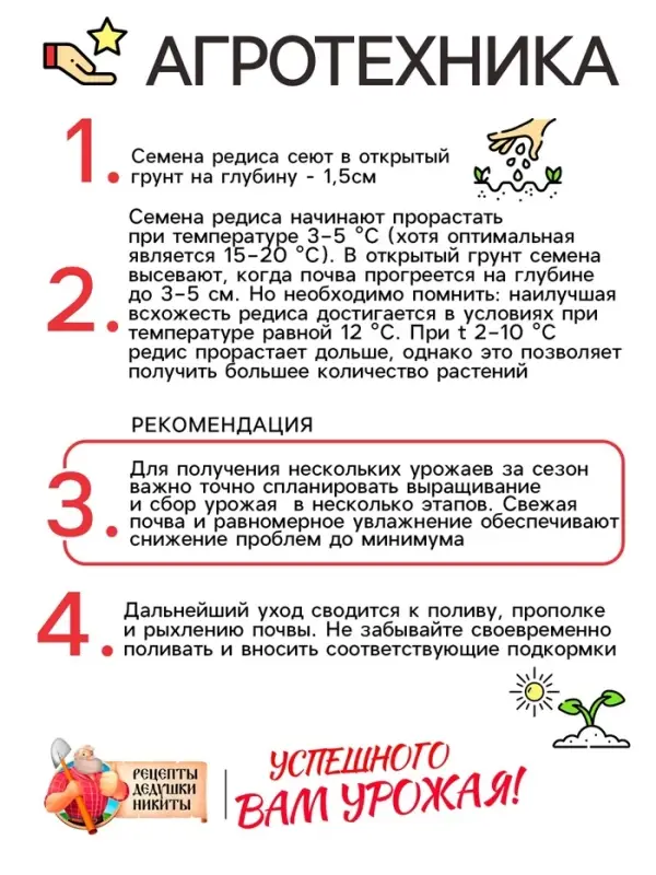 Семена Редис "Французский завтрак", 1,5 г