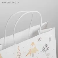 Пакет подарочный новогодний крафт &laquo;С Новым годом&raquo;, 25&times;22&times;12 см