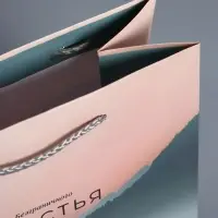 Пакет подарочный "Высота чувств" ламинированный 18 х 22,3 х 10 см