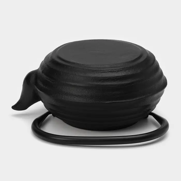 Чайник Magma &laquo;Танан&raquo;, 800 мл, с ситом, с эмалированным покрытием внутри, индукция, чугун, чёрный