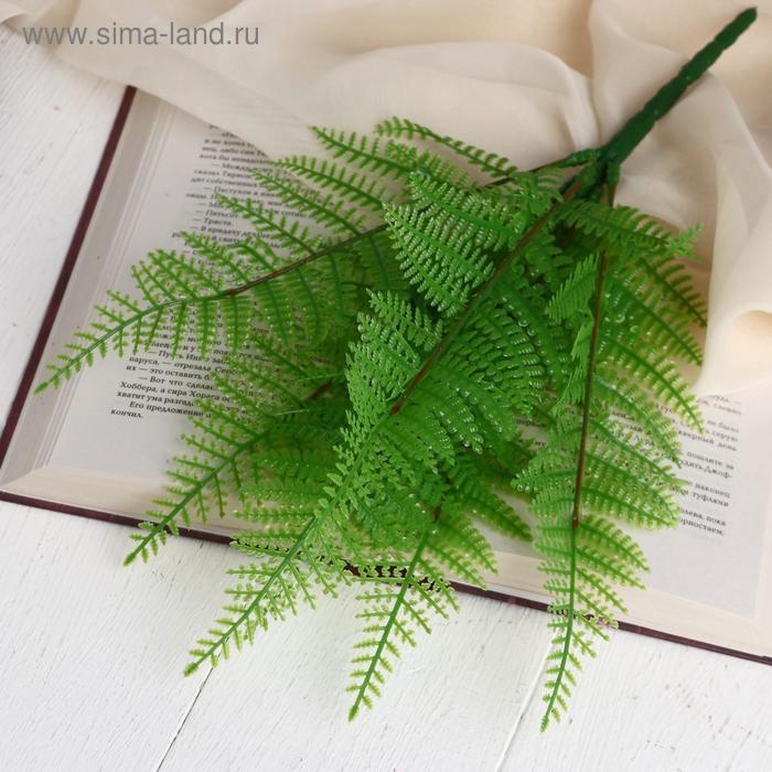 Букет Букет "Папоротник" 30 см