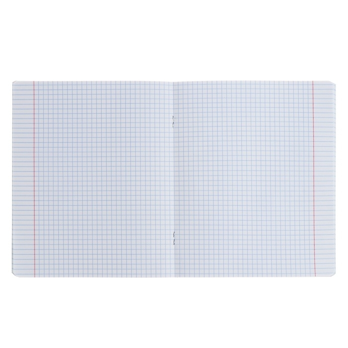 Тетрадь предметная ОБЩЕСТВОЗНАНИЕ, 48 листов в клетку, ErichKrause Manga, обложка мелованный картон, твин-лак, блок офсет 100% белизна, инфо-блок Тетрадь предметная ОБЩЕСТВОЗНАНИЕ, 48 листов в клетку, ErichKrause Manga, обложка мелованный картон, твин-лак, блок офсет 100% белизна, инфо-блок