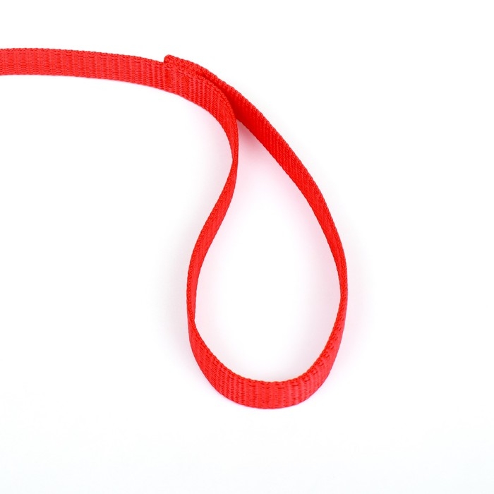 Поводок 3 м х 2 см, красный Поводок 3 м х 2 см, красный