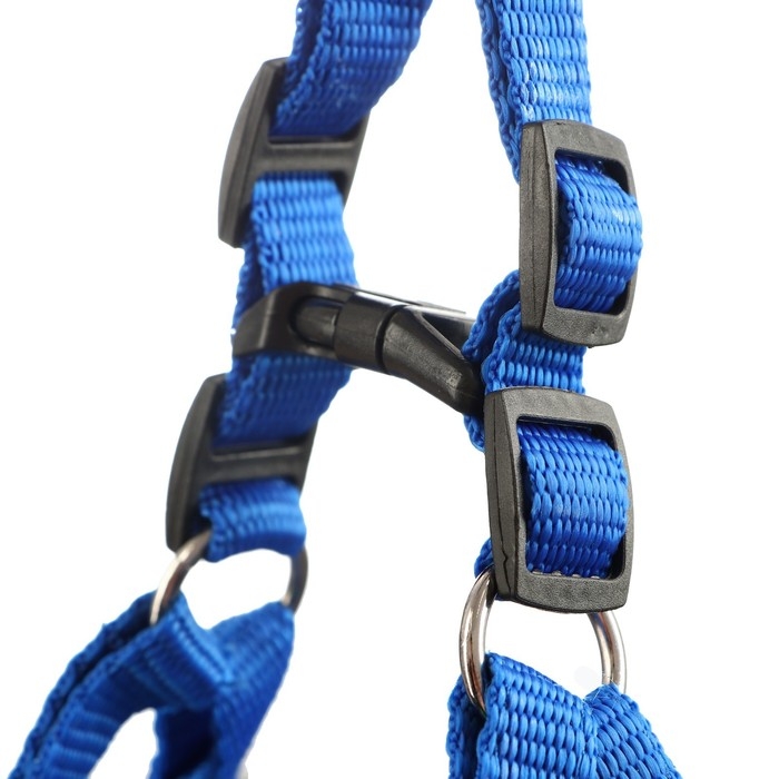 Шлейка Шлейка "Комфорт" комбинированная, 2 см, ОШ 40-58 см, ОГ 46-60 см, синяя