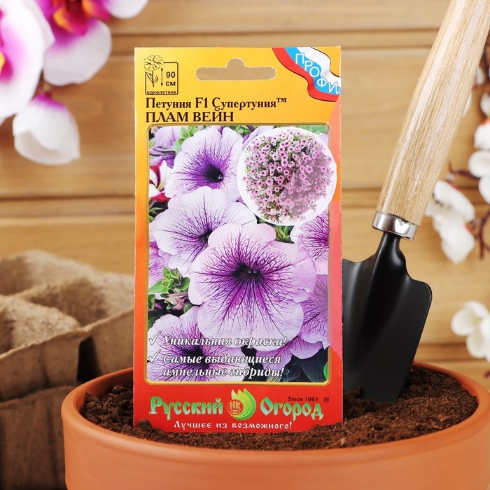 Семена цветов Петуния супертуния  Семена цветов Петуния супертуния "Плам вайн" F1, 6 шт
