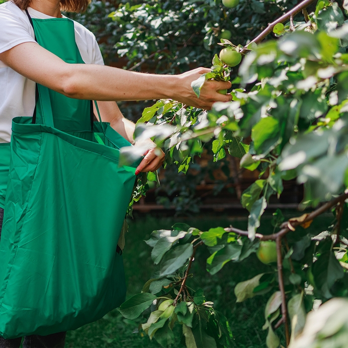 Фартук для сбора урожая, один карман, зелёный, Greengo