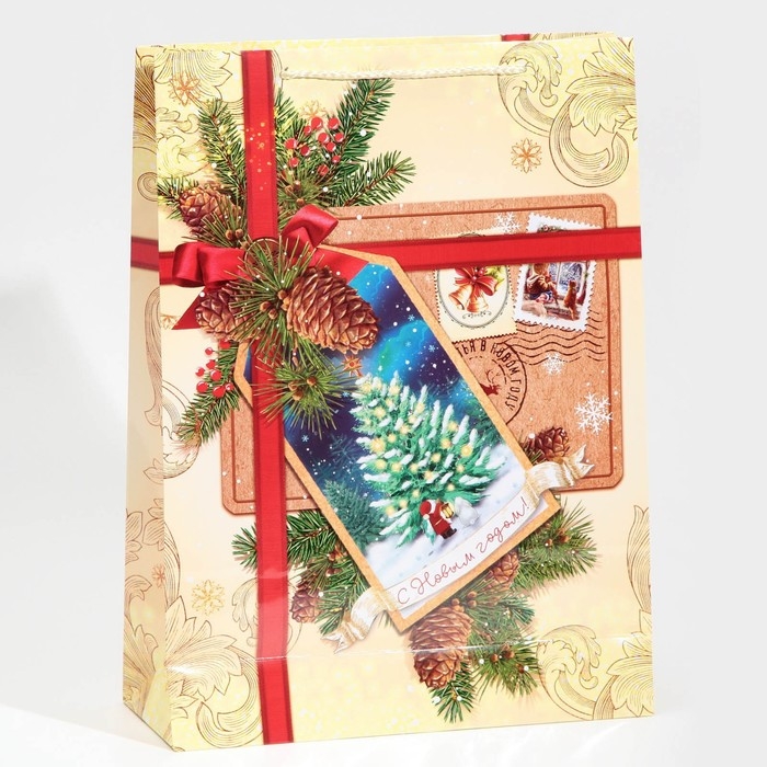 Пакет подарочный новогодний ламинированный «С Новым годом!», L 28 х 38 х 9 см Пакет подарочный новогодний ламинированный «С Новым годом!», L 28 х 38 х 9 см