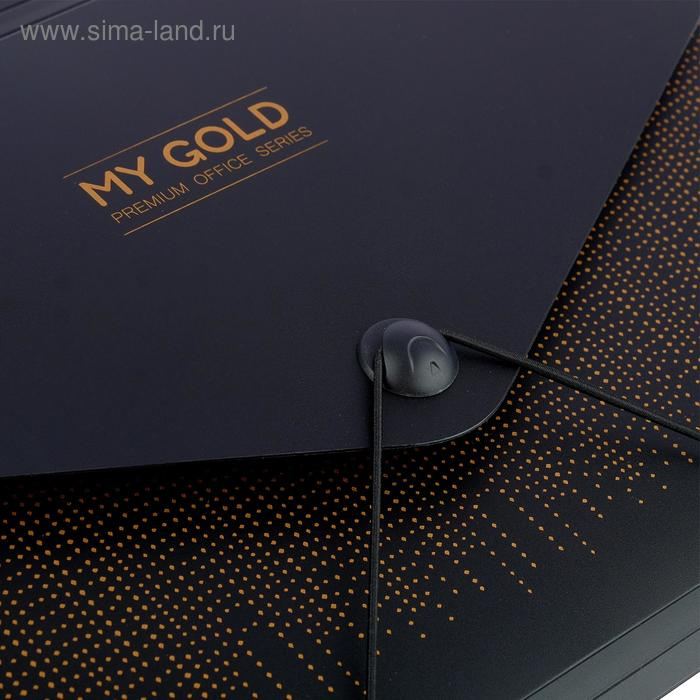 Папка-кратотека 12 отделений, А4, на резинке, deVENTE My gold, 700 мкм Папка-кратотека 12 отделений, А4, на резинке, deVENTE My gold, 700 мкм