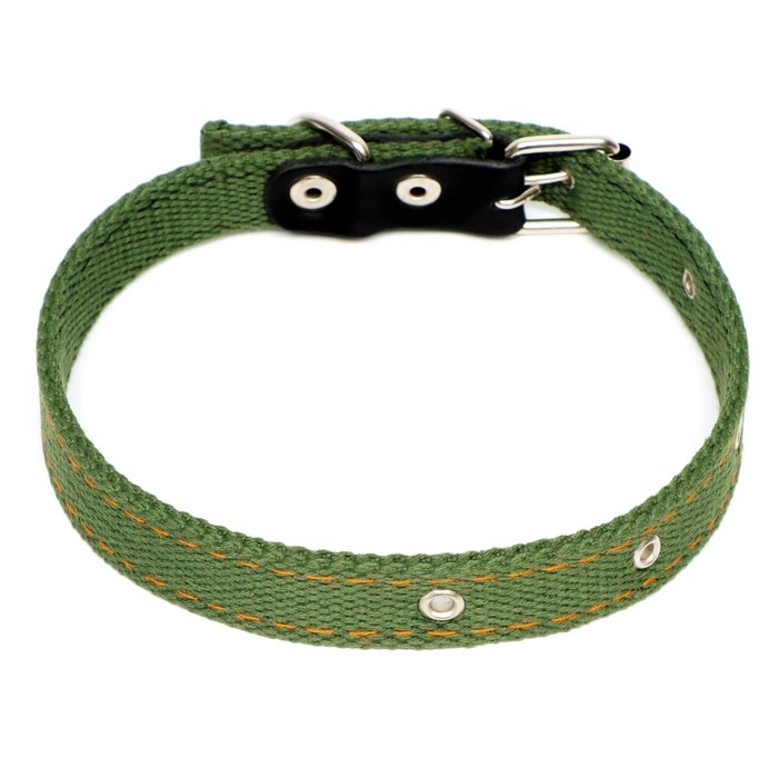 Ошейник брезентовый двухслойный, 50 х 2 см, ОШ 25-45 см, тёмно-зелёный Ошейник брезентовый двухслойный, 50 х 2 см, ОШ 25-45 см, тёмно-зелёный