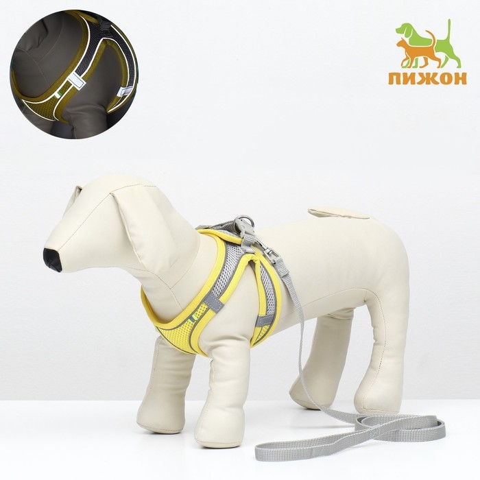 Комплект с мягкой шлейкой, быстросъемный, M, поводок 150 х 1,5 см, ОШ 38-44 см, ОГ 44-50 см, жёлтый Комплект с мягкой шлейкой, быстросъемный, M, поводок 150 х 1,5 см, ОШ 38-44 см, ОГ 44-50 см, жёлтый