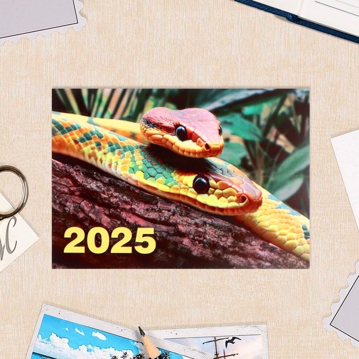 Набор карманных календарей Набор карманных календарей "Символ года - 2" 2025 год, 7 х 10 см, 15 штук