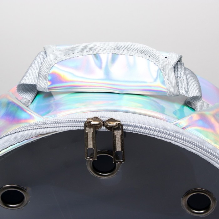 Рюкзак круглый  для переноски животных, прозрачный, 26 см, серый Рюкзак круглый  для переноски животных, прозрачный, 26 см, серый