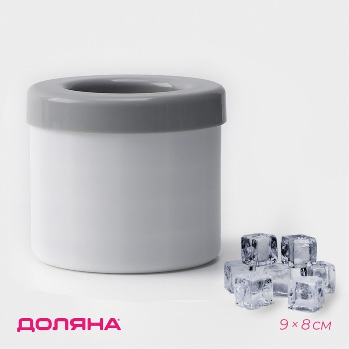 Форма для льда Доляна, 9×8 см, цвет белый/серый Форма для льда Доляна, 9×8 см, цвет белый/серый