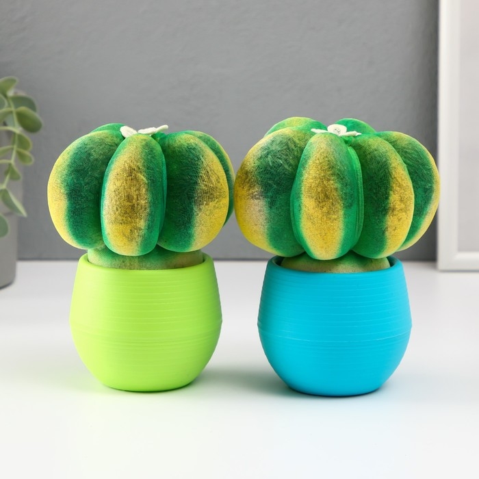 Растущий подарок травка Экоживчик Растущий подарок травка Экоживчик "Кактус Астрофитум" МИКС