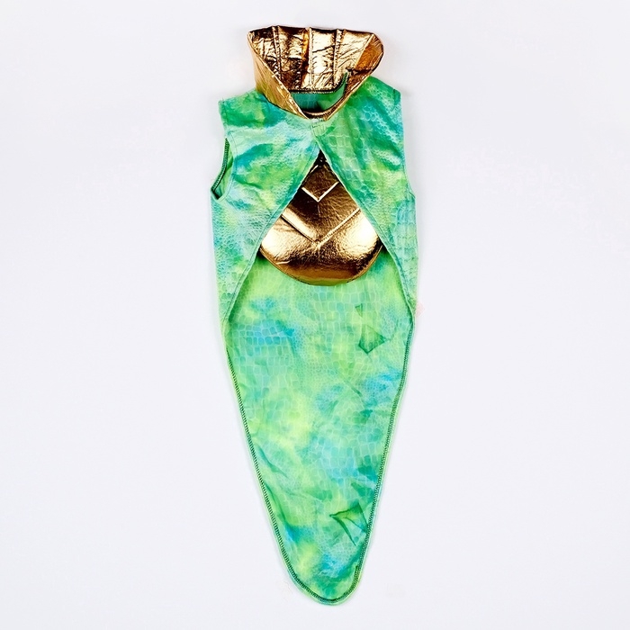 Карнавальный костюм детский «Новогодний змей»: жилетка, нагрудник, шапка, нарукавники, рост 116-128 см Карнавальный костюм детский «Новогодний змей»: жилетка, нагрудник, шапка, нарукавники, рост 116-128 см