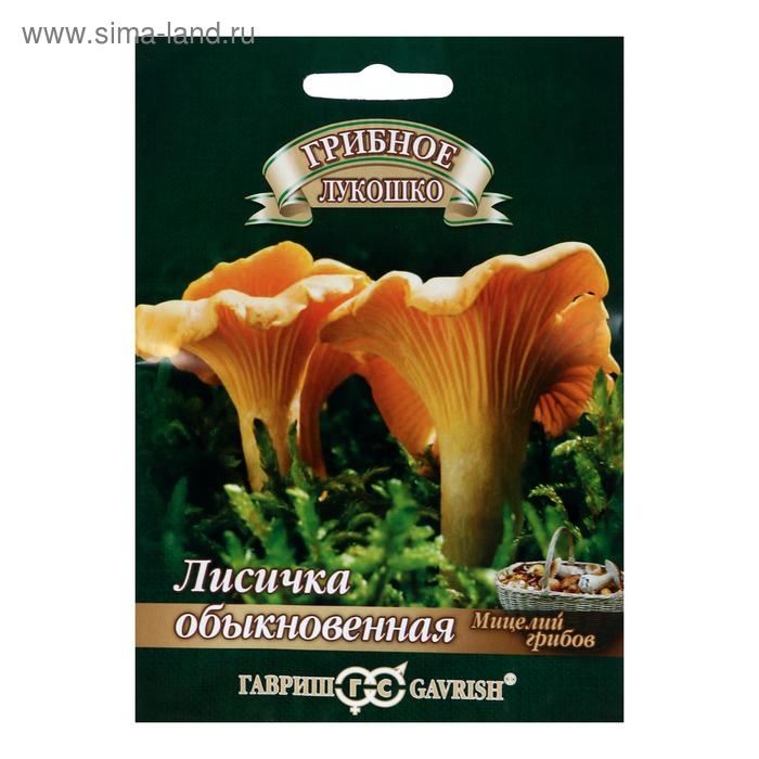 Семена Мицелий Семена Мицелий "Лисички", на зерновом субстрате, 15 мл
