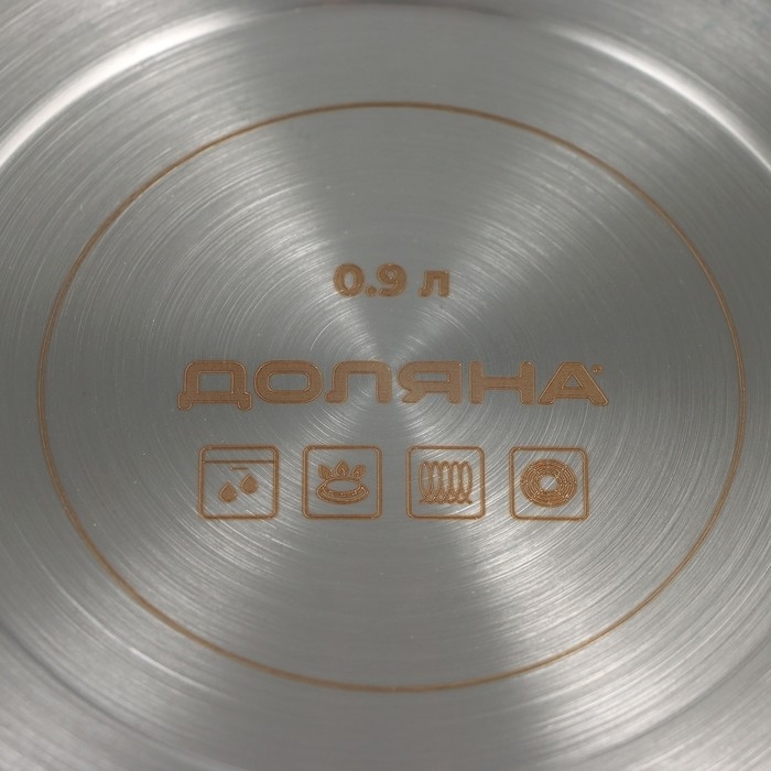 Ковш из нержавеющей стали «Грейт», 0,9 л, индукция Ковш из нержавеющей стали «Грейт», 0,9 л, индукция