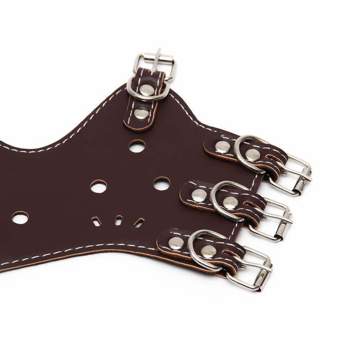 Намордник из прессованной кожи регулируемый, №4, ДН 8,8 см, ОМ 29-35 см, коричневый Намордник из прессованной кожи регулируемый, №4, ДН 8,8 см, ОМ 29-35 см, коричневый