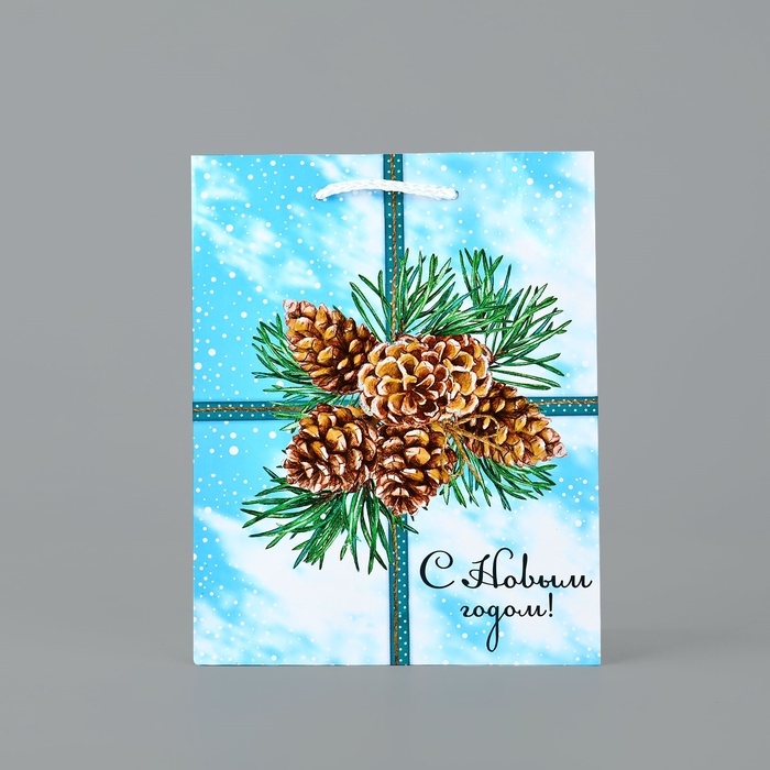 Пакет подарочный новогодний ламинированный «С Новым годом», шишки, MS 18 х 23 х 8 см, Новый год Пакет подарочный новогодний ламинированный «С Новым годом», шишки, MS 18 х 23 х 8 см, Новый год