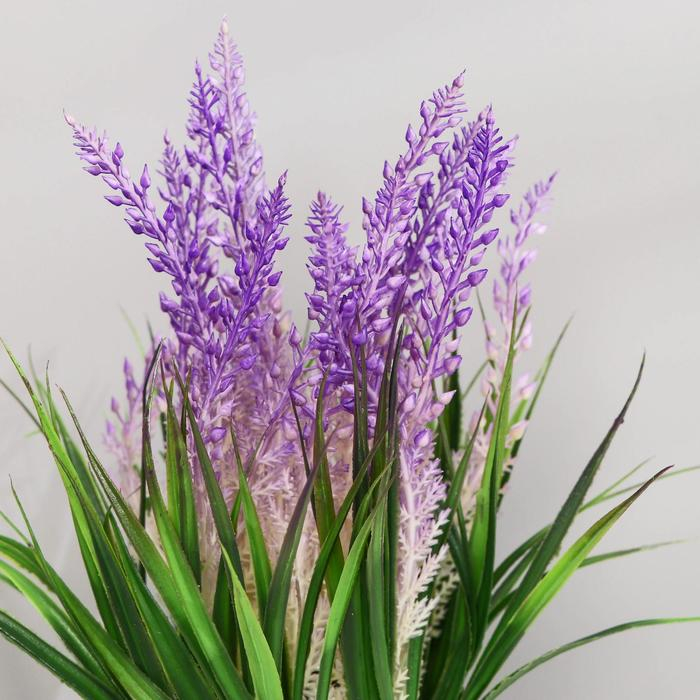 Бонсай в горшке "Вереск" 10х18 см, микс