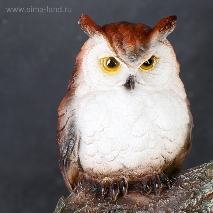 Подвесной декор Подвесной декор "Филин на сучке" 20х9х14,5см