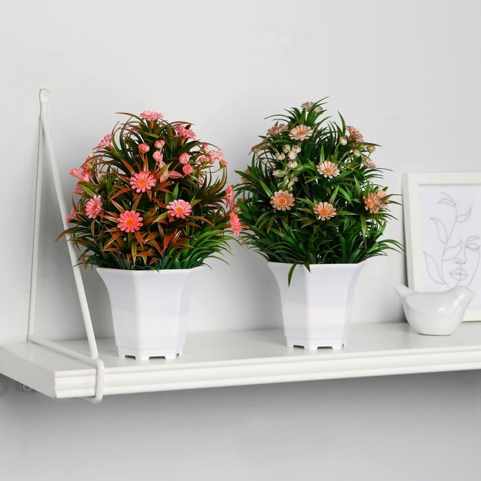 Бонсай в горшке Бонсай в горшке "Ромашка нивяник" 11х22 см, микс