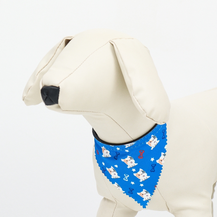 Ошейник с косынкой Ошейник с косынкой "Яркая жизнь", 32 х 1 см, синий