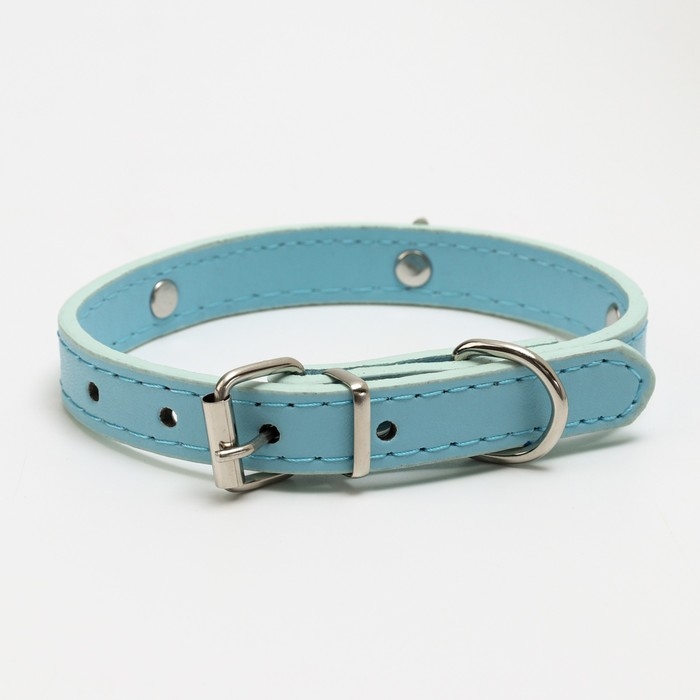 Ошейник Ошейник "Корона" с металлическим декором и со стразами, 36 х 1,4 см, ОШ 24-31, голубой