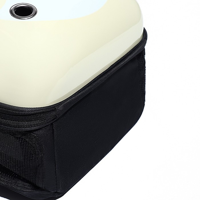 Рюкзак для переноски кошек и собак  Рюкзак для переноски кошек и собак "Цыпа", с окном, 32 х 25 х 42 см