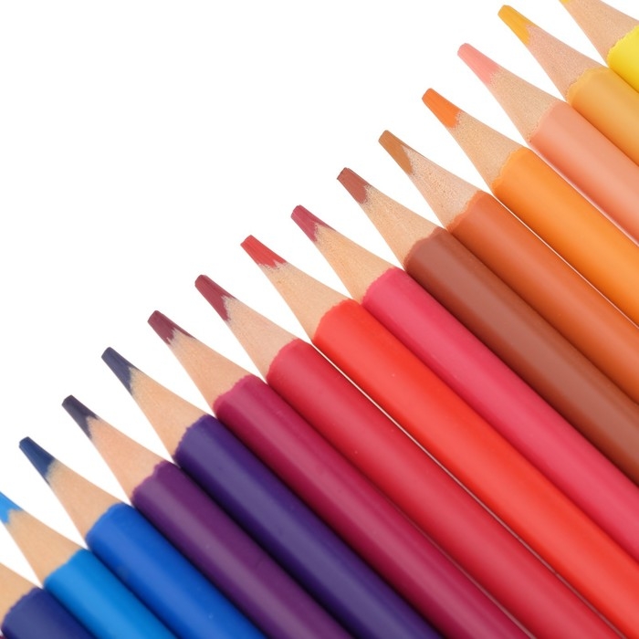 Карандаши 24 цвета BrunoVisconti FunColor, пластиковые, МИКС Карандаши 24 цвета BrunoVisconti FunColor, пластиковые, МИКС