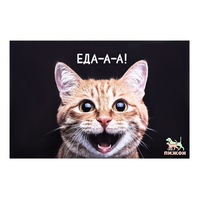 Коврик под миску  Коврик под миску "Пижон" 43 х 28 см "Еда-а-а!"