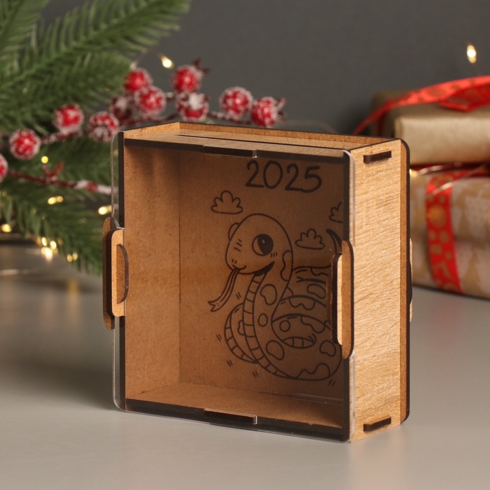 Новогодняя копилка с акрилом  Новогодняя копилка с акрилом "Змея. Милашка" 12х12х4 см