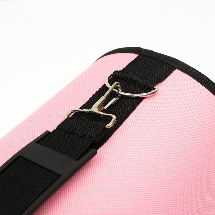 Сумка - переноска для животных  Сумка - переноска для животных "Воздушный поцелуй", розовая, размер L, 53 х 21 х 29 см