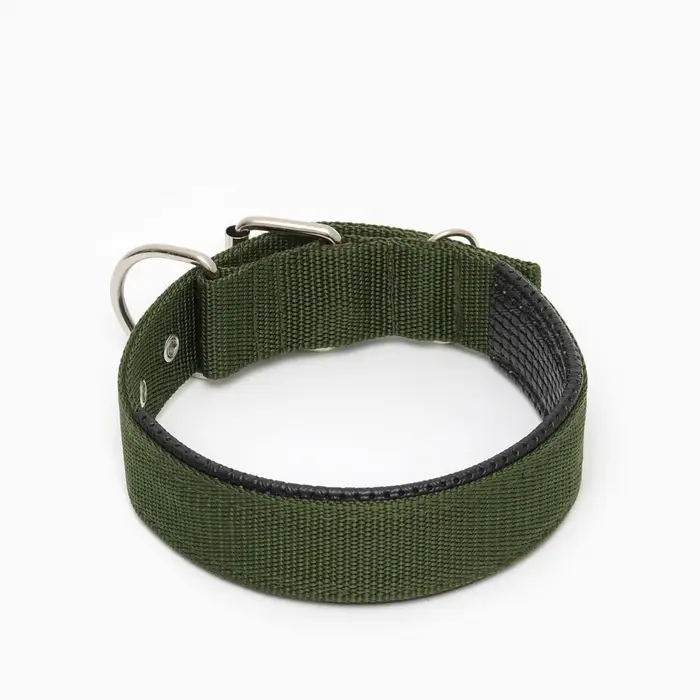 Ошейник &laquo;Комфорт&raquo;, 60&times;4 см, ОШ 44-54 см, комбинированный, полиэстер, искусственная кожа, зелёный