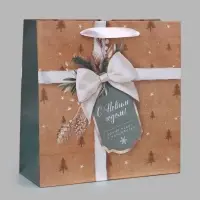 Пакет подарочный &laquo;С Новым годом&raquo;, 30&times;30&times;12 см