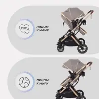 Коляска - трансформер детская RANT basic PULSAR GOLD (2в1) RA160, бежевый Коляска - трансформер детская RANT basic PULSAR GOLD (2в1) RA160, бежевый