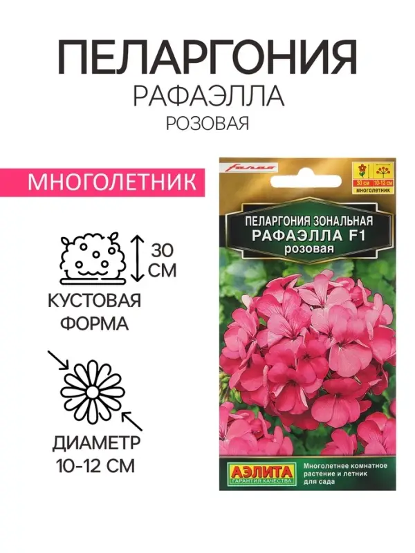 Семена цветов Пеларгония "Рафаэлла", розовая, 5 шт, F1,