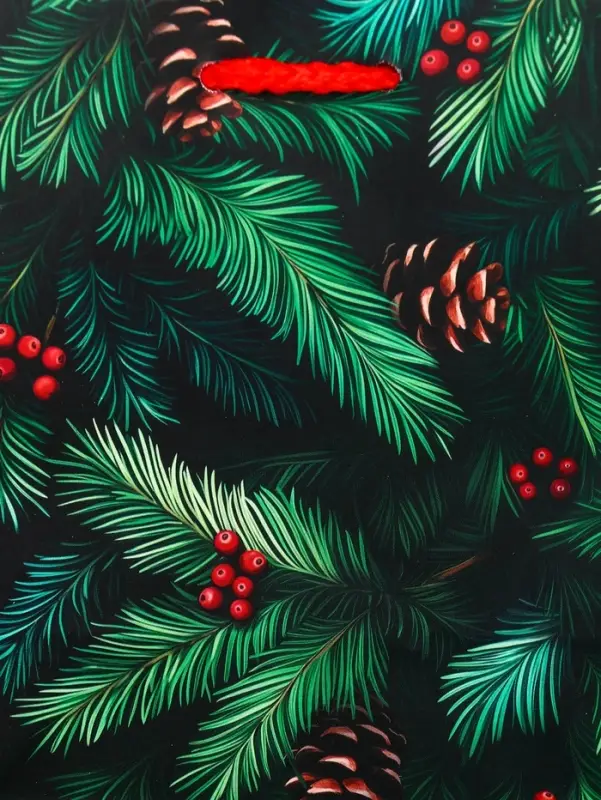 Пакет подарочный новогодний ламинированный, «Шишки» , 11.5×6.5×14.5 см