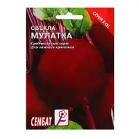 Семена Свекла &laquo;Мулатка&raquo;, XXXL, &laquo;Сембат&raquo;, 10 г