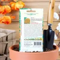 Семена цветов Бархатцы  "Карина оранжевая ", ц/п,  тонколистные, 0,05 г