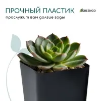 Горшок для рассады, 800 мл, 9&times;9&times;12.5 см, пластик, МИКС, Greengo