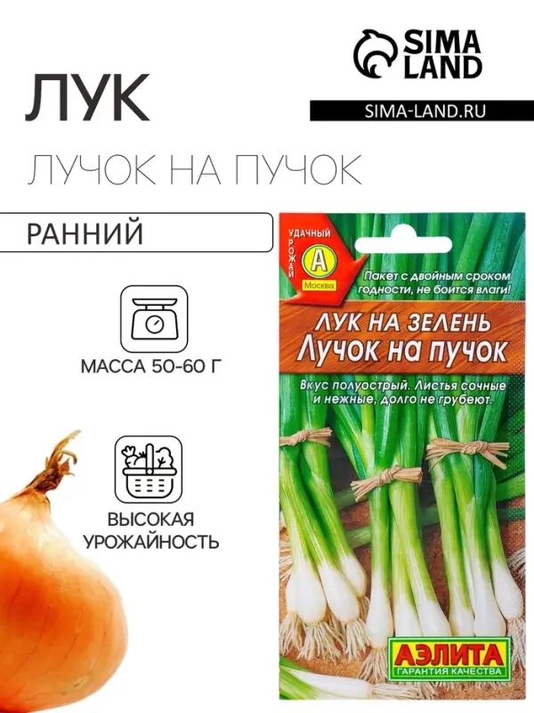 Семена Лук на зелень &laquo;Лучок на пучок&raquo;, 0.5 г, &laquo;Аэлита&raquo;