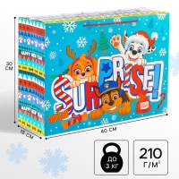 Новый год. Пакет-коробка "Surprise", 15х40х30 см, Paw Patrol