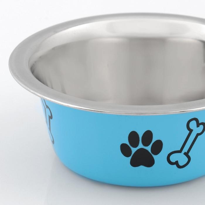 Миска стандартная цветная с принтом, 240 мл, голубая Миска стандартная цветная с принтом, 240 мл, голубая