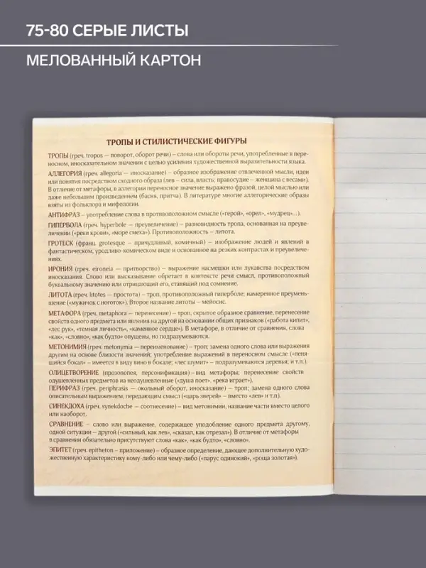 Тетрадь предметная 48 листов в линейку Calligrata, «Металл. Литература», обложка мелованный картон, серые листы Тетрадь предметная 48 листов в линейку Calligrata, «Металл. Литература», обложка мелованный картон, серые листы