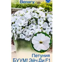 Семена цветов Петуния БУУМ! Эйч Ди F1 Вайт многоцветковая (драже) Benary, Ц/П,7 шт. Семена цветов Петуния БУУМ! Эйч Ди F1 Вайт многоцветковая (драже) Benary, Ц/П,7 шт.
