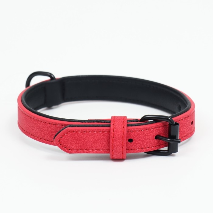Ошейник с выносным кольцом Ошейник с выносным кольцом "Мона", 42 х 2 см, алый