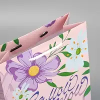 Пакет подарочный ламинированный, упаковка, &laquo;Самой нежной&raquo;, MS 18 х 23 х 8 см